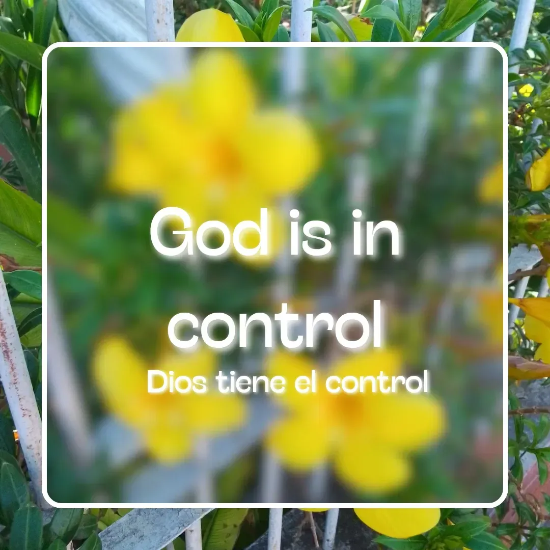 VeSHvme25QmWwSEJ_Dios_tiene_el_control_20250503_174614_0000.webp