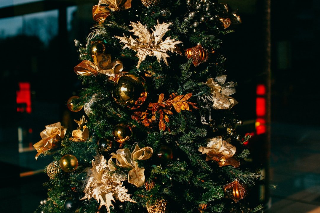 tree.jpg