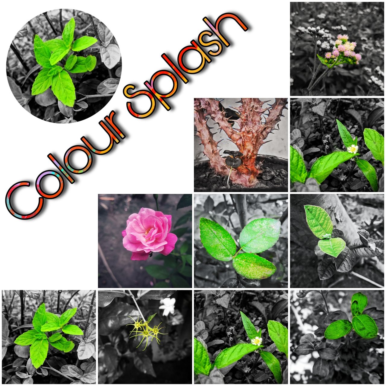 PicsArt_051205.43.00.jpg