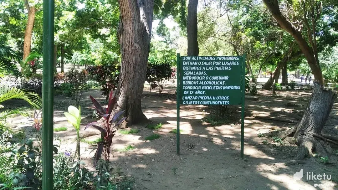 6EK8QmLOtLZoBfWE_Park_8.webp