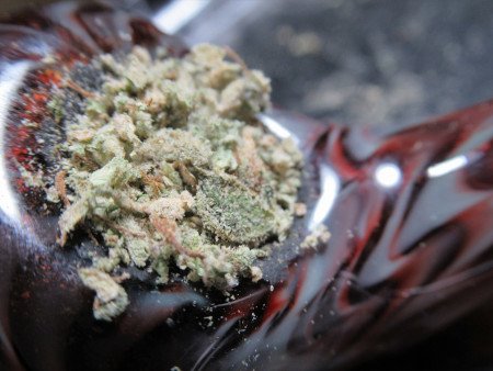 bowlpackedcloseup338.jpg