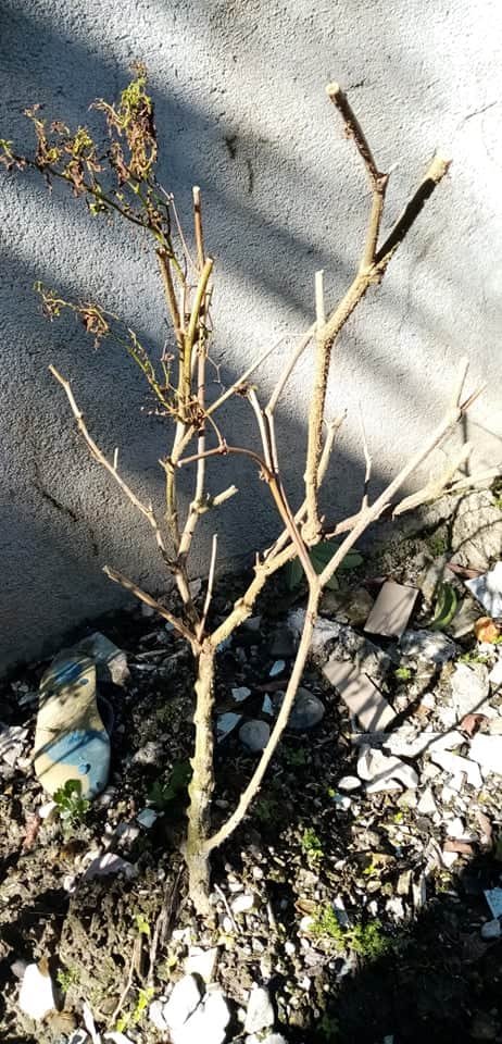 received_914337592410880.jpeg