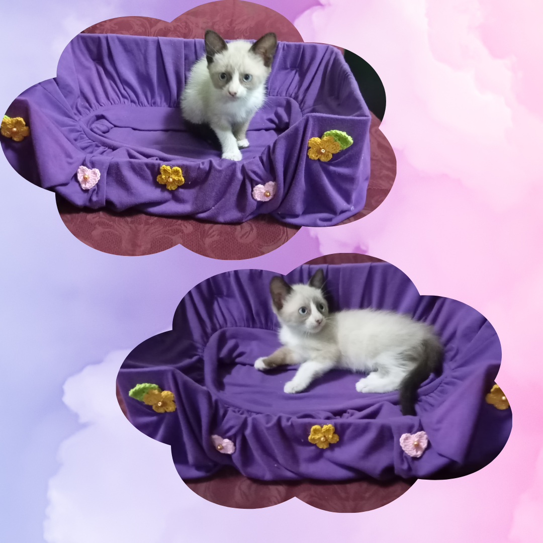 Inspírate, nunca dejes de.png
