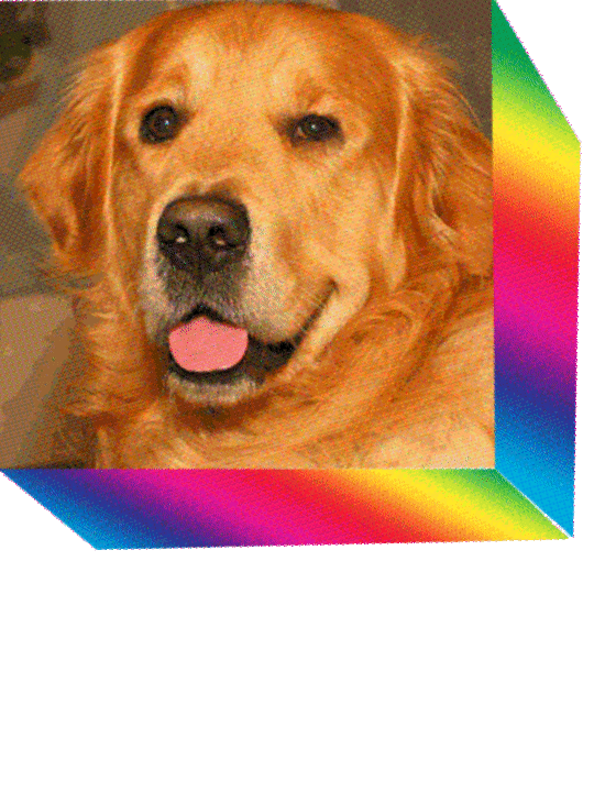 e69d51a4-6d7e-40ae-84b4-e00d4f766ac5.gif