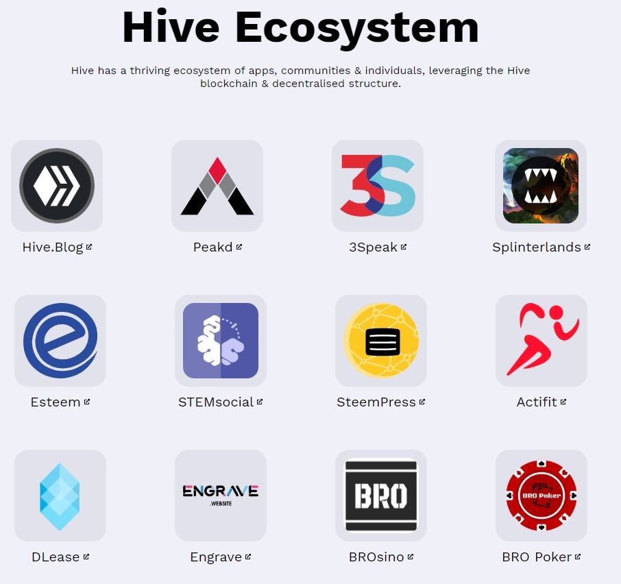 Hive7.JPG