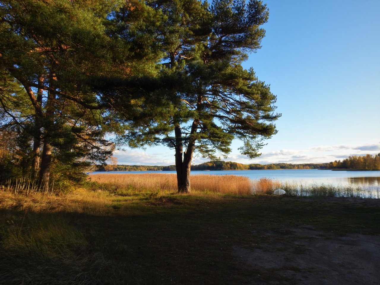 DSCN6714edit.jpg