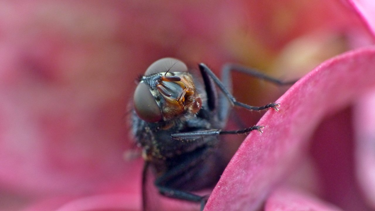 P1200550_v1.JPG