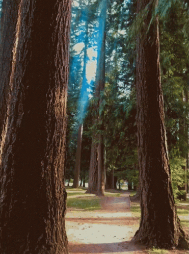 untitled.gif