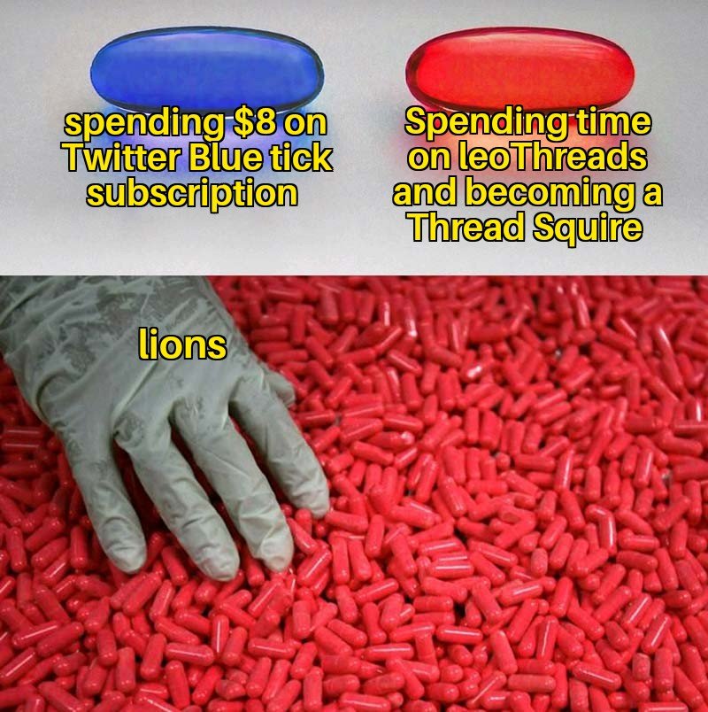 Blue Pill Red Pill 13012023001435.jpg