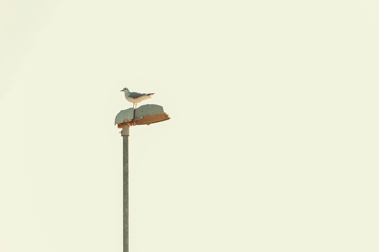 © Ruben Cress