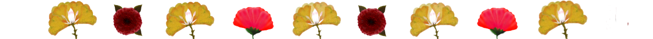 separador de flores.png