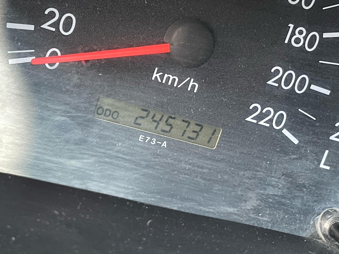 1000245563.jpg