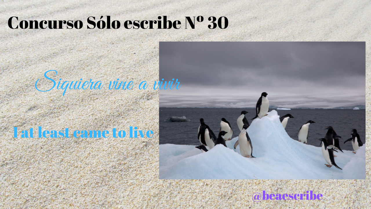 Concurso Sólo escribe Nº 28.png