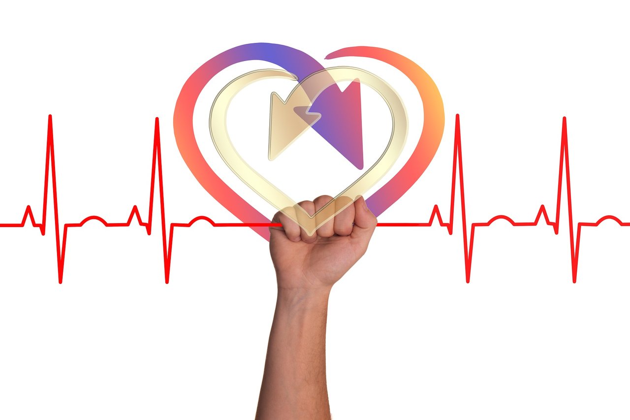 heart-3405553_1920.jpg