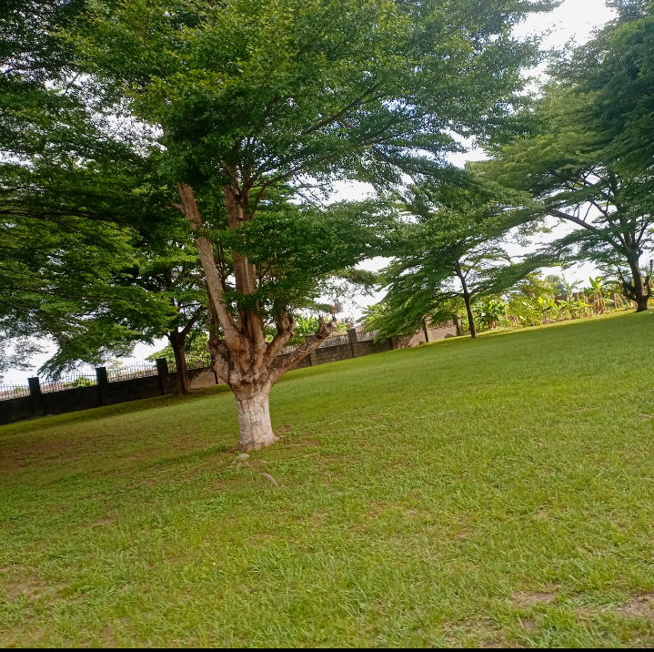 Screenshot_20240623-212808.png