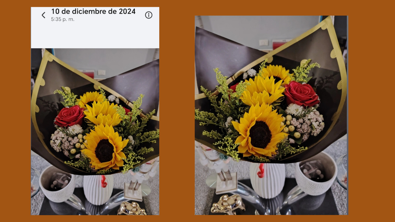 10 de Diciembre de 2024 (3).png