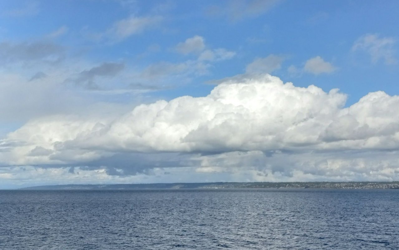 20250317_011439.jpg