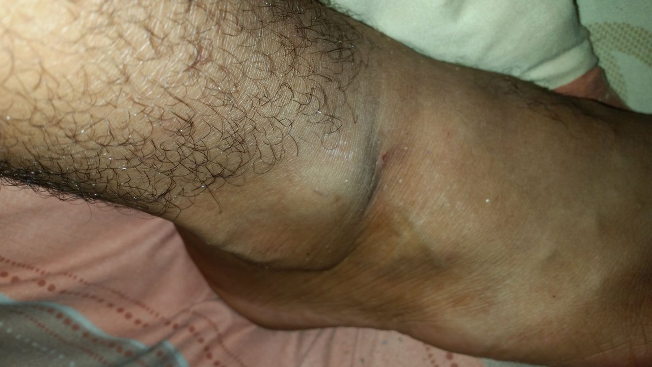 20220920_183238.jpg