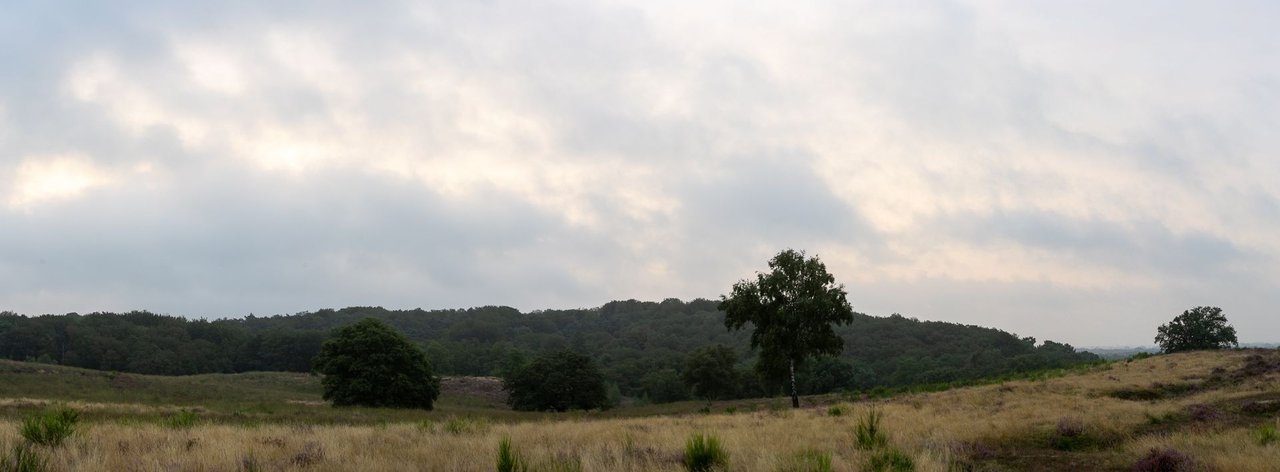 IMGL5290-Pano.jpg