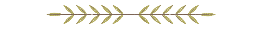 Diseño_sin_título__1_-removebg-preview.png