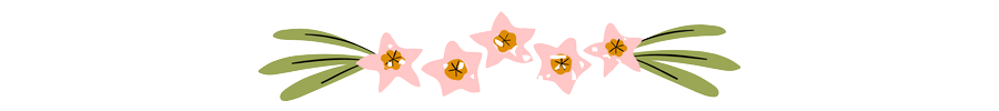 5-removebg-preview.png