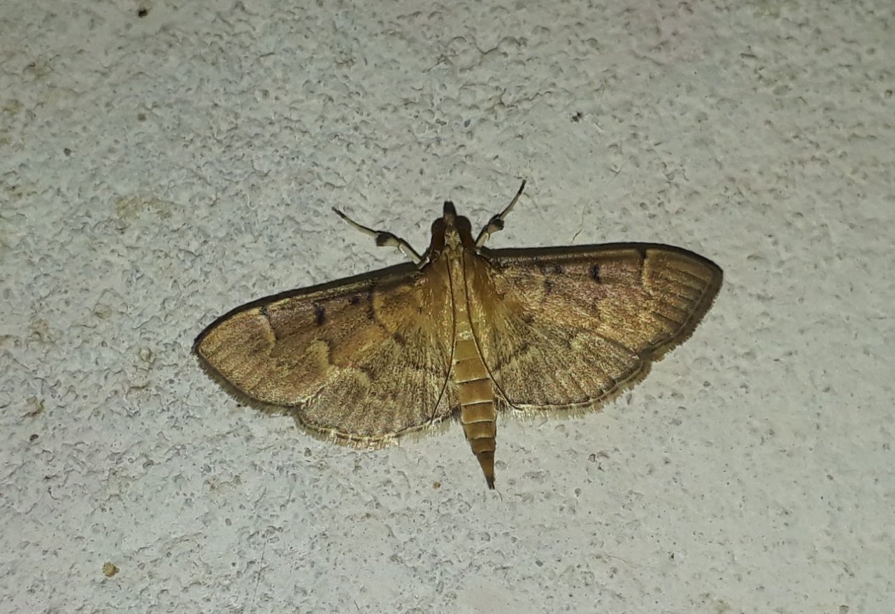 20211029_050439.jpg