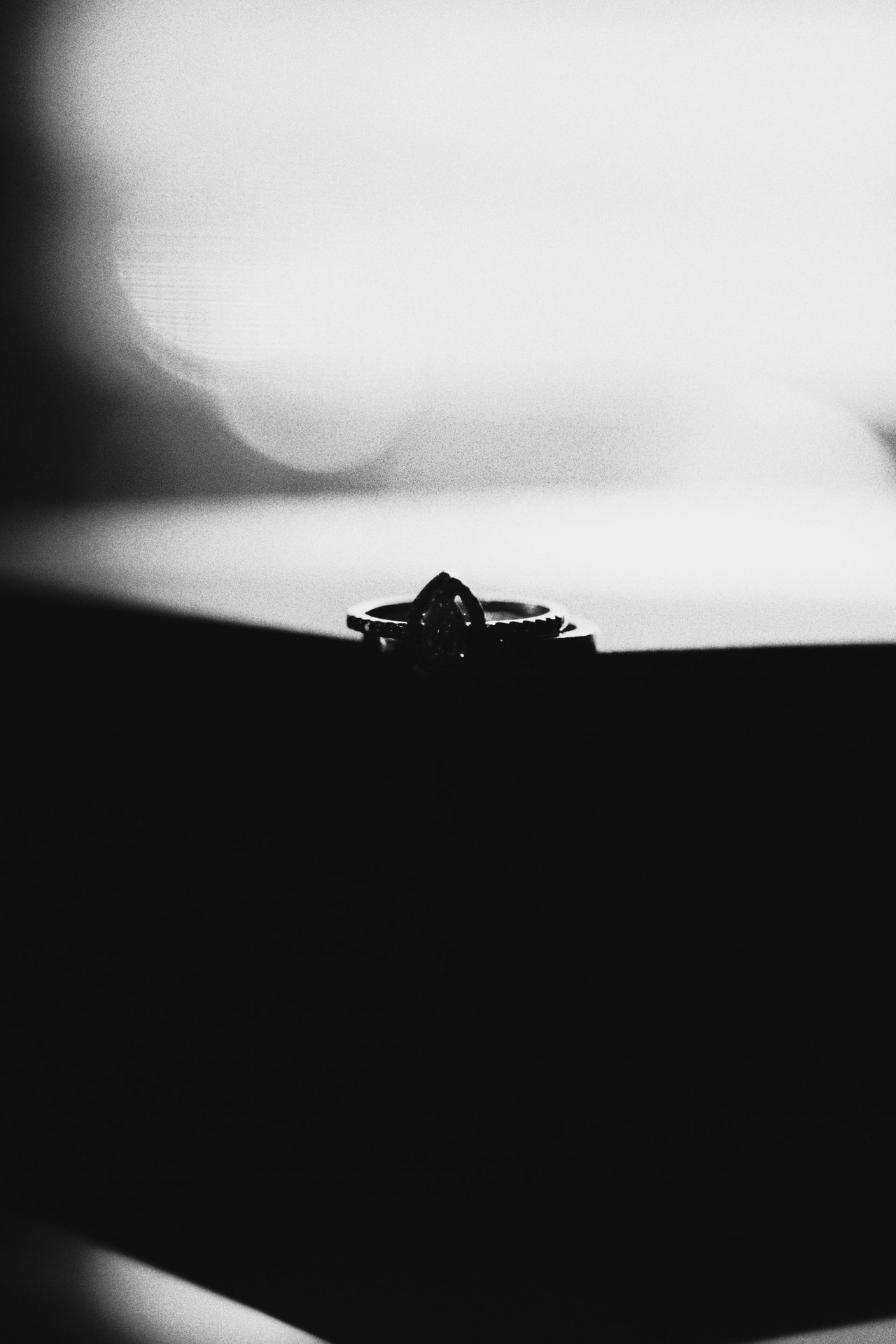 MELODY  (7).jpg
