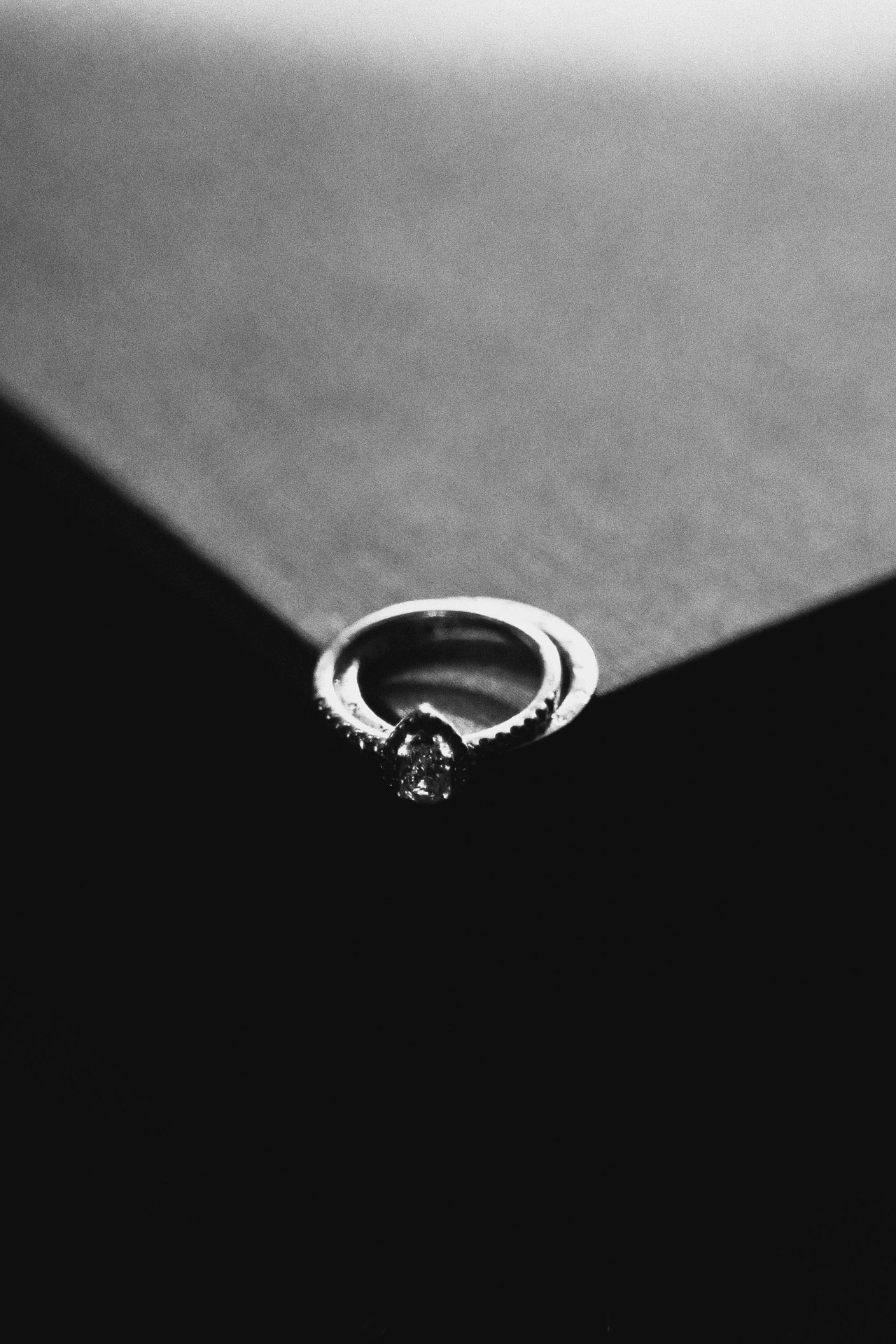 MELODY  (8).jpg