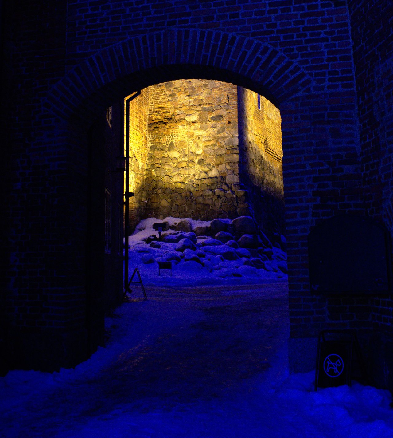 DSC_3211.jpg