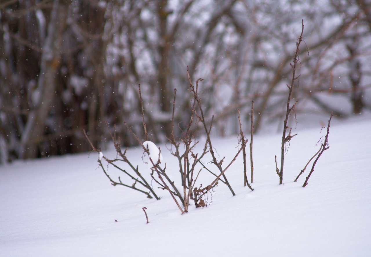 DSC_3157.jpg