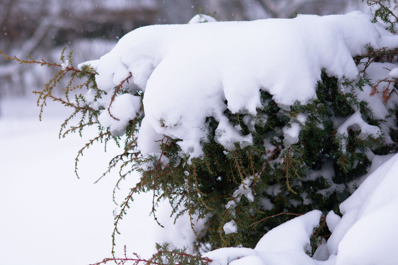DSC_3155.jpg