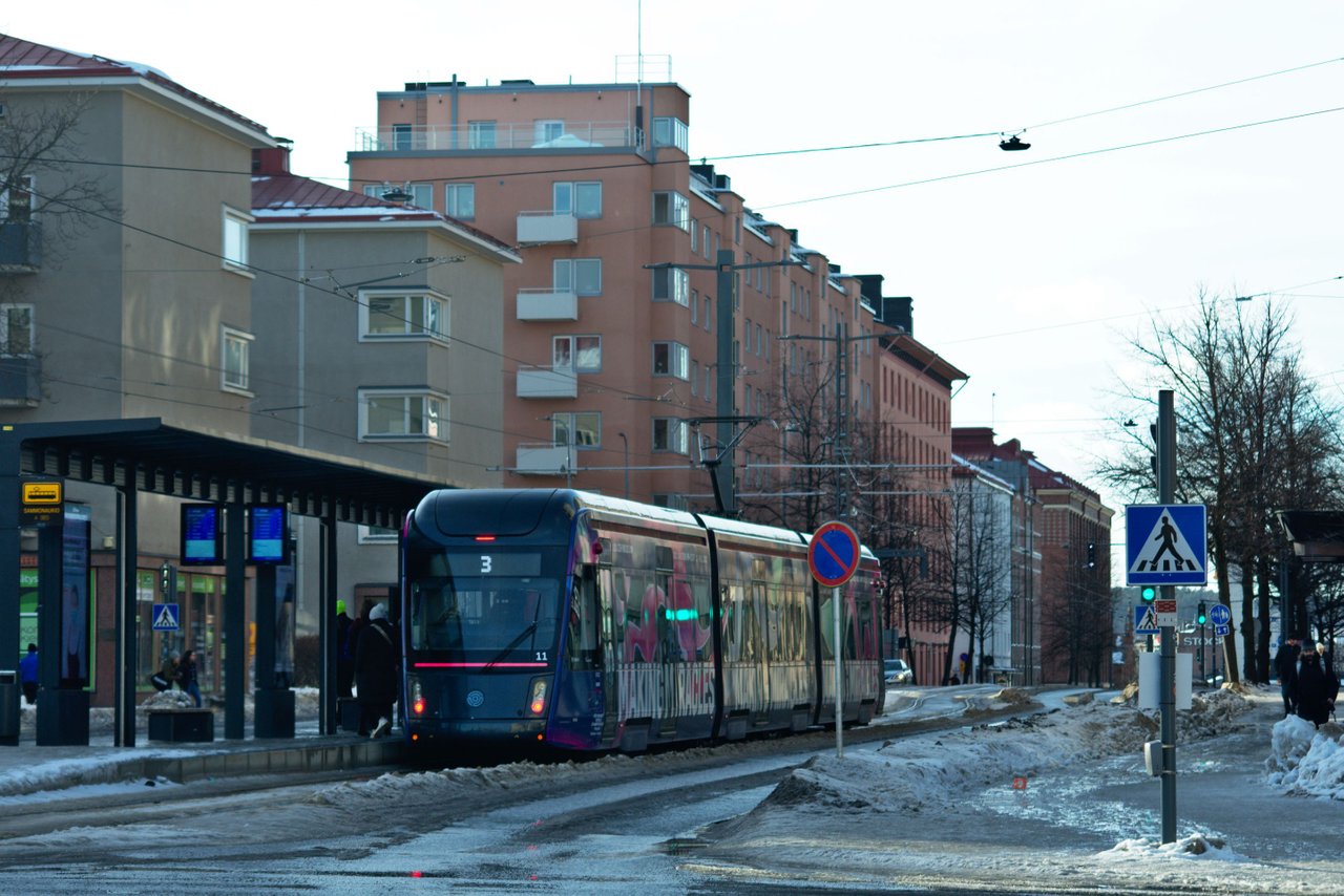 DSC_3225.jpg