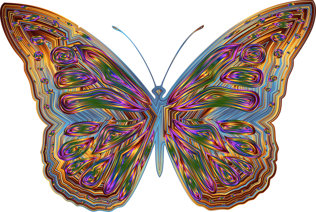 butterfly-g5db1689ec_1280.png
