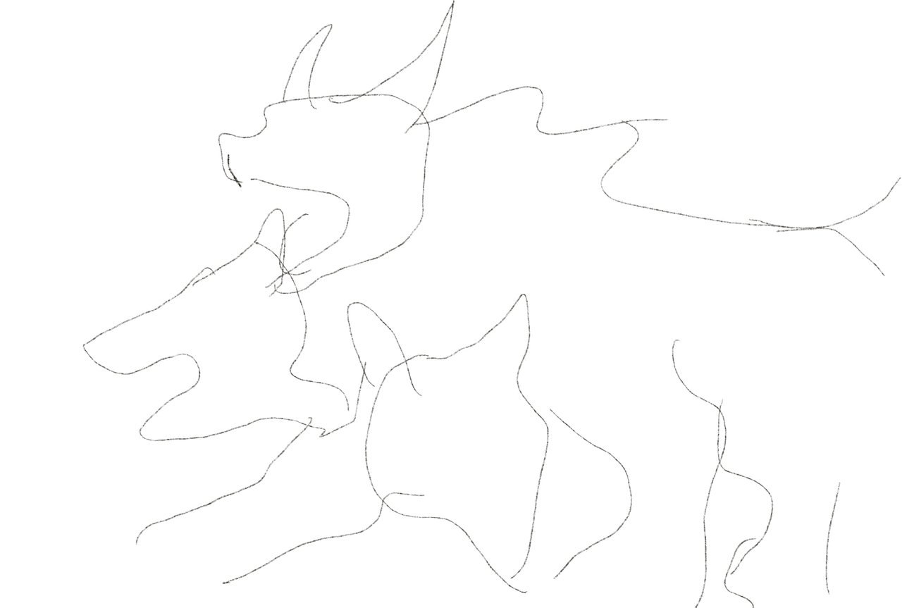 4C578427-F376-4614-B630-91DC107633B6.jpeg