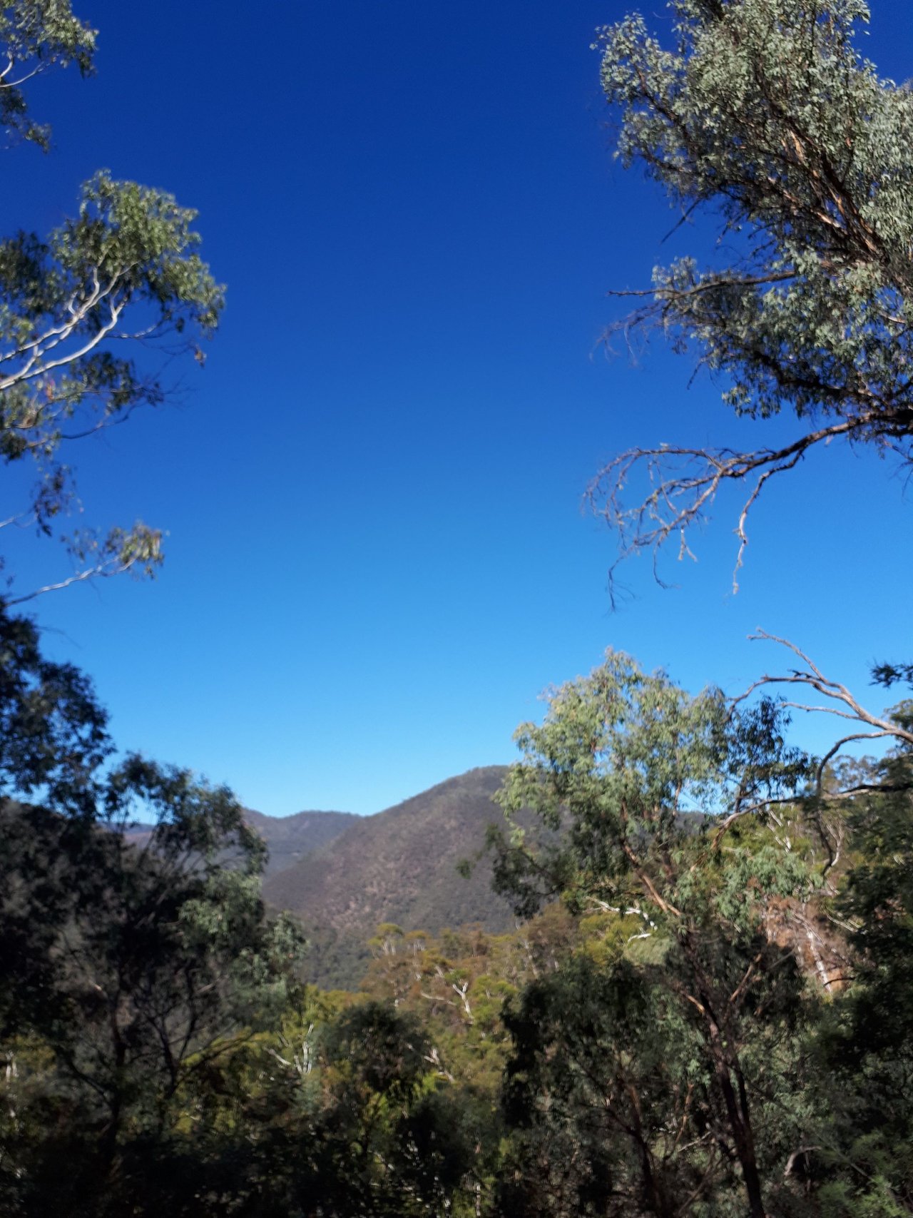 20180330_151015.jpg