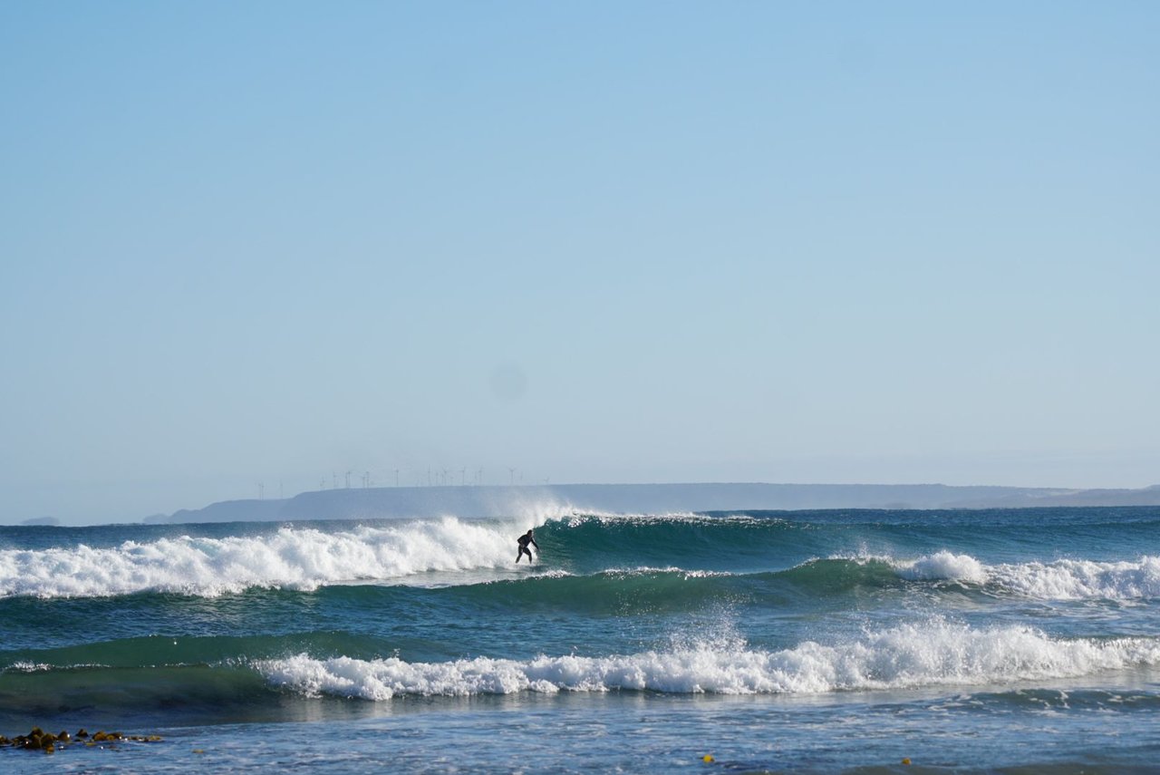 DSC08155_1.jpg