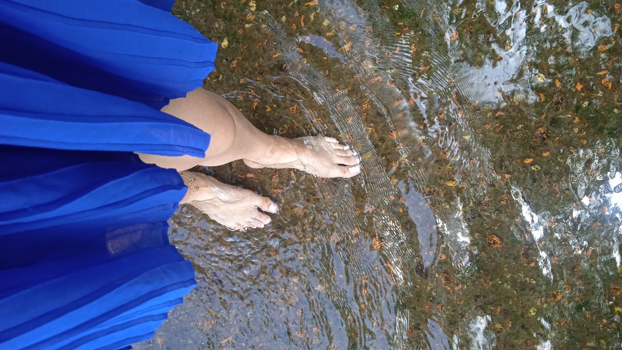IMG_20250713_110447_1.jpg