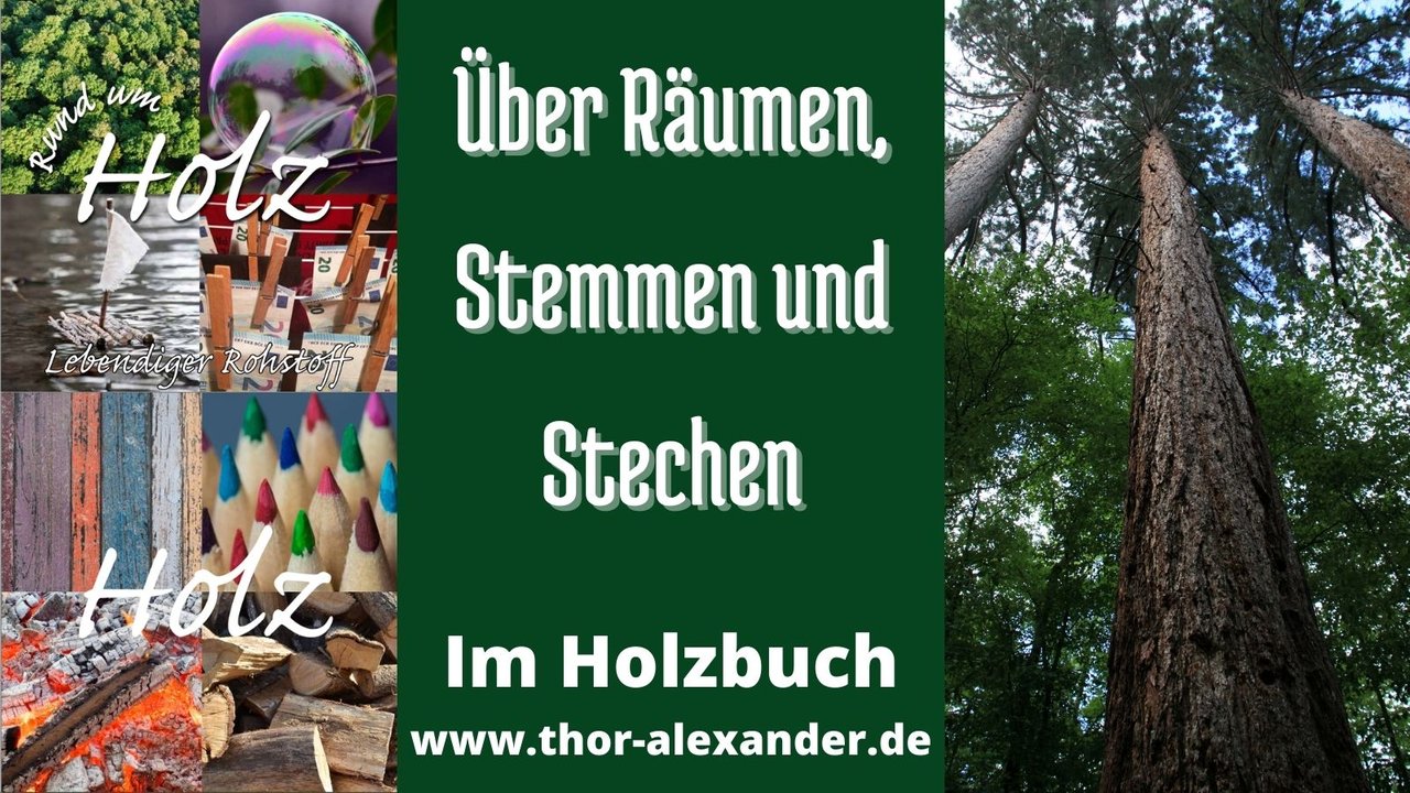 HZ Über Räumen Stemmen Stechen.jpg
