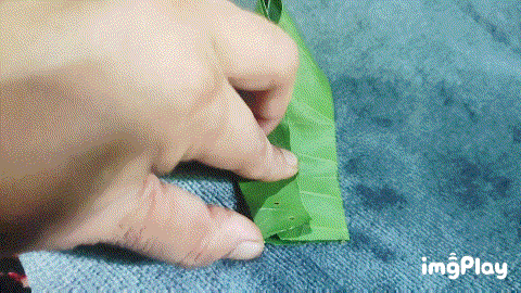 1000035725.gif