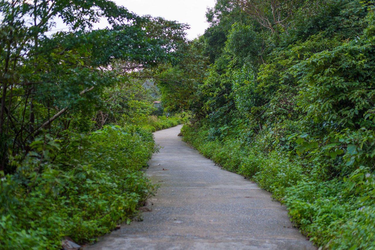 Hippi_106.JPG