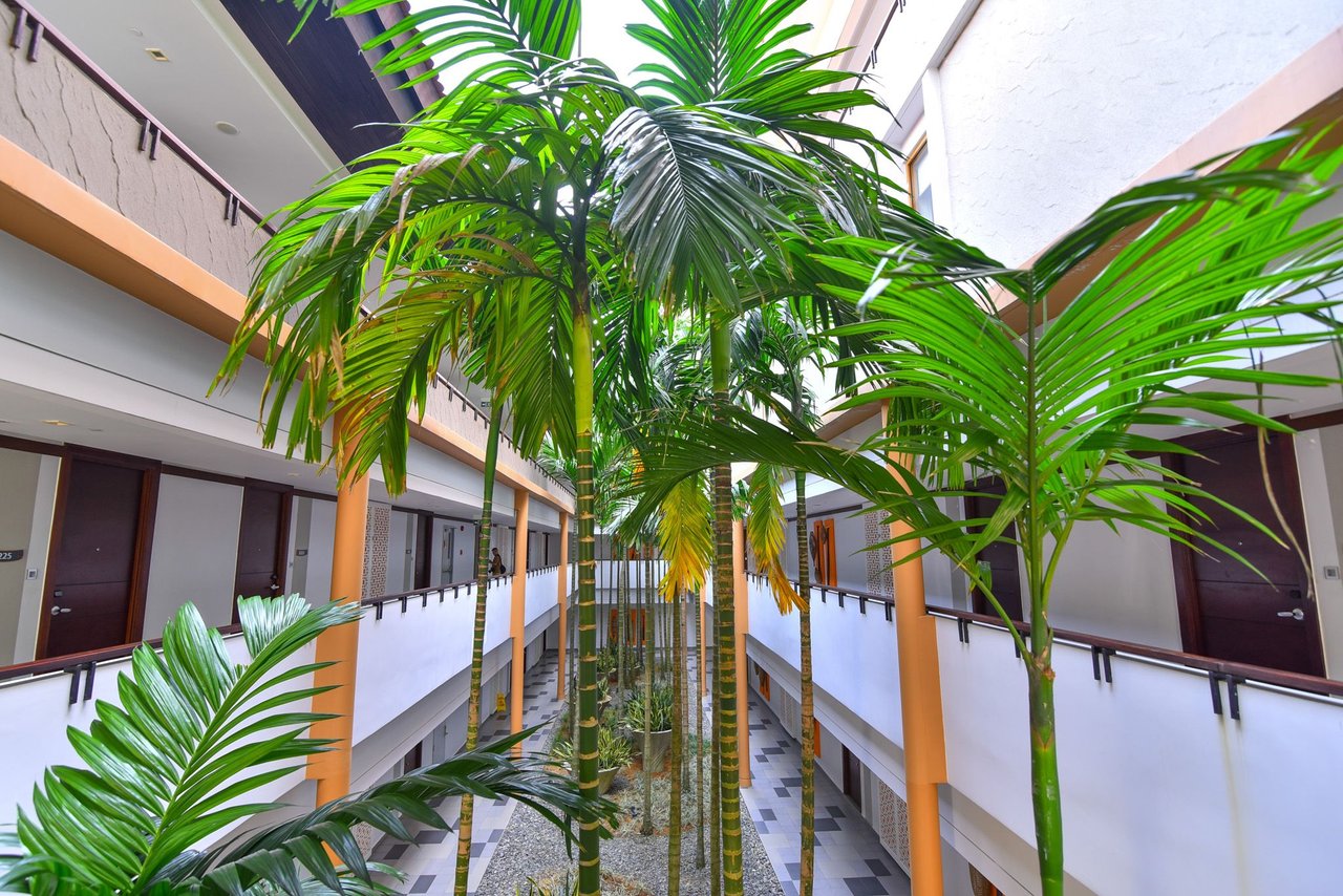 DSC_2386.JPG