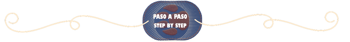 pasoapasbordadofigu.png