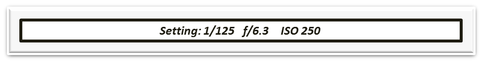 4.png