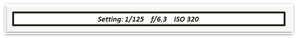 1.png