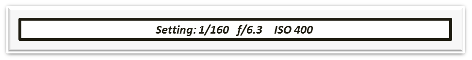 3.png