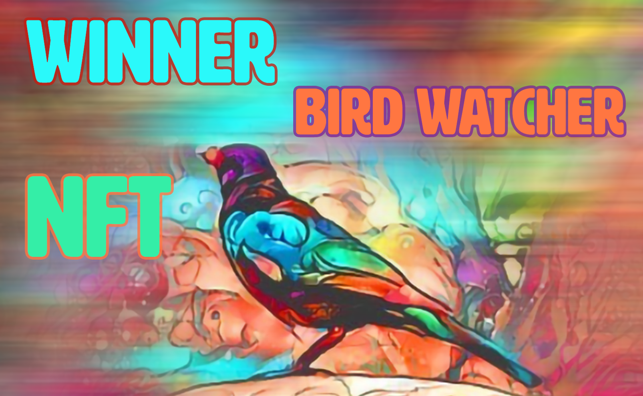 tHUMBNAILNFTwinner.png