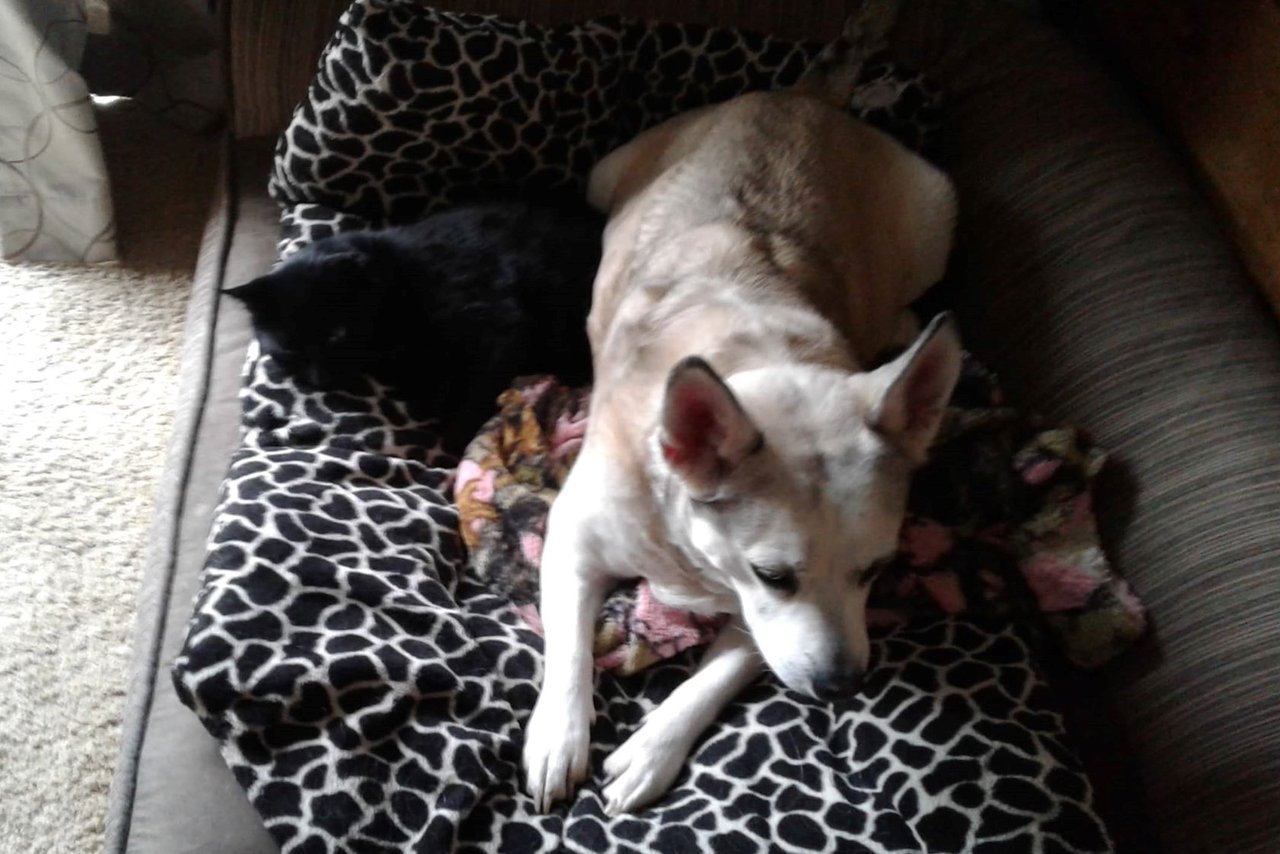 CC0210WithDaisy.jpg