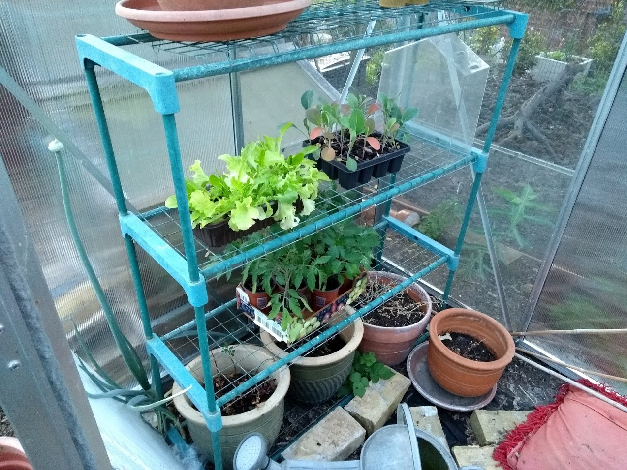 Greenhouse