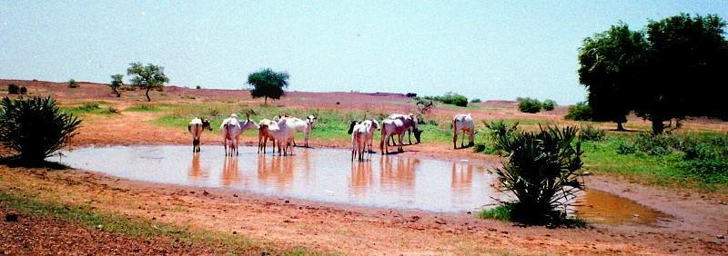 photo2.jpg