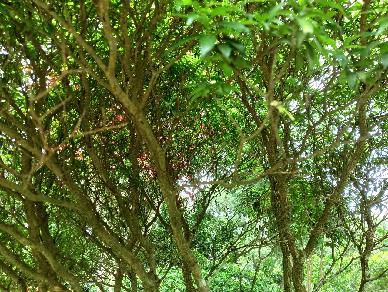 IMG20250629114128.jpg